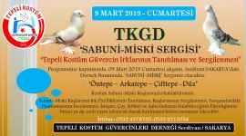Sabuni-Miski Sergisi